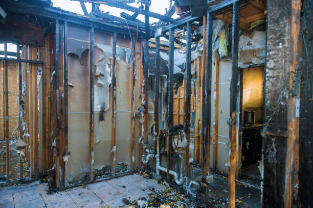 Professional Fire Damage Assessment technician working in Loretto, MN