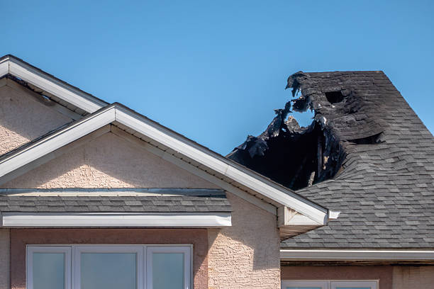 Top rated local Fire Damage Assessment specialists in Loretto, MN